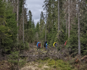 Тренировка к походу "Сотка за сутки"