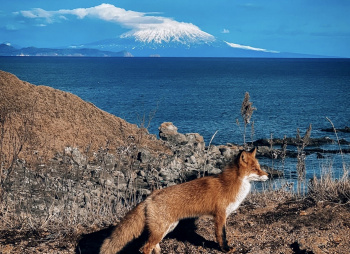 Здравствуйте, я ваша Тятя: поход по острову Кунашир + Сахалин