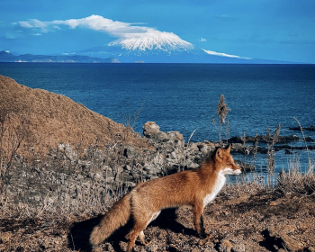 Здравствуйте, я ваша Тятя: поход по острову Кунашир + Сахалин