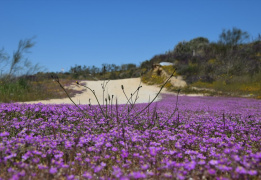 Велопоход Полоцк - Себеж
