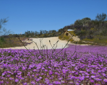 Велопоход Полоцк - Себеж