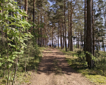 Первые шаги: пеший степенной поход 1 ст.с (Разведка)
