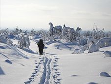 Воттоваара на лыжах