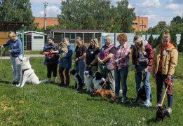 Дог лагерь Лапка путешествий
