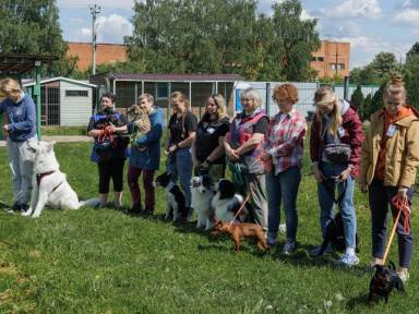 Дог лагерь Лапка путешествий