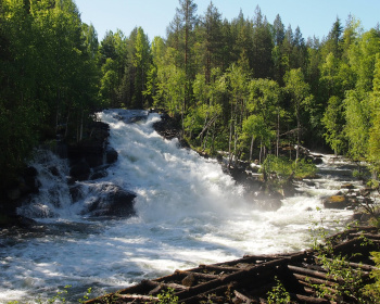 Водопады Карелии: река Винча