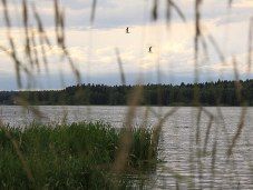 Велопоход - Лесными тропинками к Торбееву озеру - Московская область