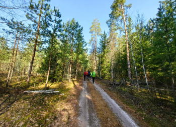 Пеший поход «Край покинутых деревень»