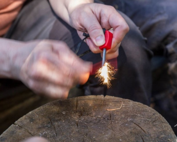 Однодневный поход для всех "Выживание в лесу"