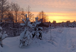 Лыжный квиз: Сюмси — Пумси