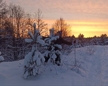 Лыжный квиз: Сюмси — Пумси