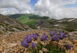 Легендарная Тридцатка ЛАЙТ: Кавказский биосферный заповедник