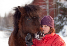 Новогодние праздники в седле: зимний конный тур в горах Кавказа (ночёвки в тепле)