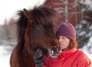 Новогодние праздники в седле: зимний конный тур в горах Кавказа (ночёвки в тепле)