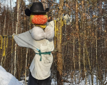 Однодневный пеший поход English club - Goodbye, зима!