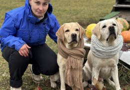 Дог лагерь Лапка путешествий
