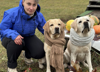 Дог лагерь Лапка путешествий