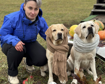 Дог лагерь Лапка путешествий