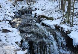 К лесному водопаду Гремучий ручей