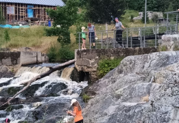 Красоты Карелии - Куркиёки, Койонсаари, Кирьяж с детьми