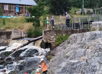 Красоты Карелии - Куркиёки, Койонсаари, Кирьяж с детьми