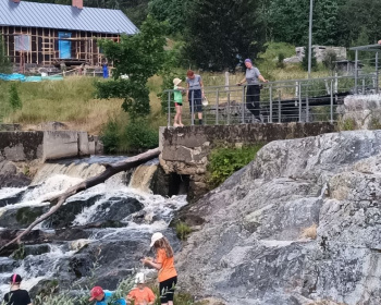 Красоты Карелии - Куркиёки, Койонсаари, Кирьяж с детьми