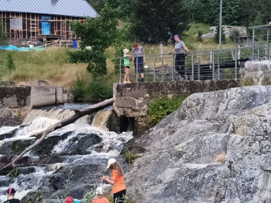Красоты Карелии - Куркиёки, Койонсаари, Кирьяж с детьми
