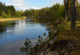 В дебри Нижегородской области - три дня на байдарках по реке Лух