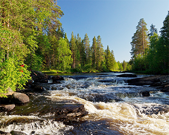 Сплав по реке Шуя Беломорская