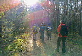 Однодневный пеший поход «Северный лес Подмосковья»