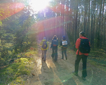 Однодневный пеший поход «Северный лес Подмосковья»