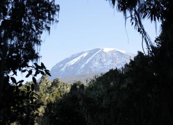 Восхождение на Килиманджаро. Маршрут Умбве