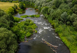 Поход на одноместных байдарках по реке Осетр с автосопровождением