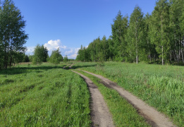 Пеший поход - Заповедные Владимирские леса