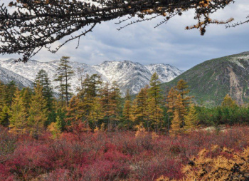 Мультитур по Дальнему Востоку - из Якутска в Магадан, Сплав по Индигирке