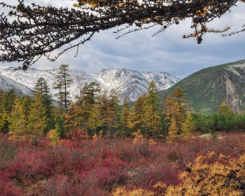 Мультитур по Дальнему Востоку - из Якутска в Магадан, Сплав по Индигирке