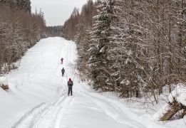 Лыжный поход - Легендарная ГАБОвская народная лыжня