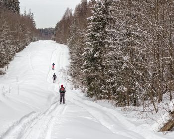 Лыжный поход - Легендарная ГАБОвская народная лыжня