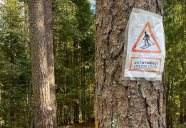 По следам Лыжной Стрелы