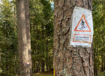 По следам Лыжной Стрелы