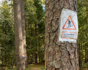 По следам Лыжной Стрелы