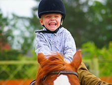 Путешествие в мир лошадей (для детей и родителей)