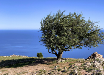 Путешествие по крымским вершинам: от Балаклавы до Ялты