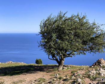 Путешествие по крымским вершинам: от Балаклавы до Ялты