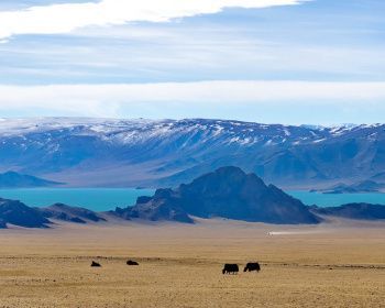Восхождение на высшую точку Монголии – гору Найрамдал (4374 м). Разведка