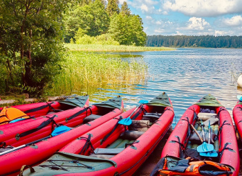 Экопоход «Чистый лес» на Селигере