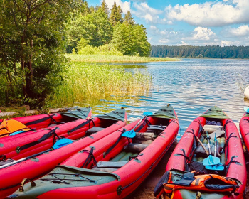 Экопоход «Чистый лес» на Селигере