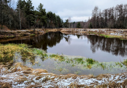 Однодневный поход «На свежий воздух»
