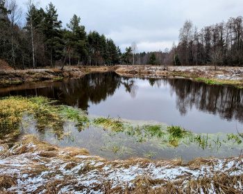 Однодневный поход «На свежий воздух»