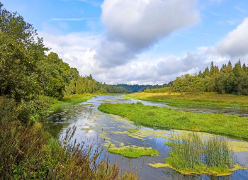 Пеший поход «Верхнее Москворечье» (Подмосковье)